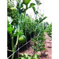 Filet à ramer et à tuteurer 17 x 15 cm | MEGADIS