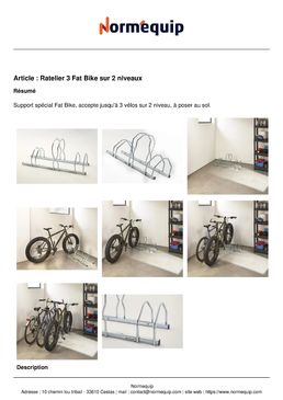 Ratelier 3 Fat Bike sur 2 niveaux
