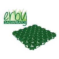 Grille de pavage pour véhicules avec pelouse | ERBY Salvaprato