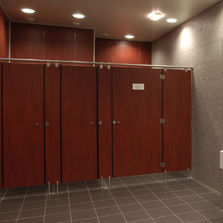 Cabine sanitaire en stratifié massif | Cabine Prestige Saniclips