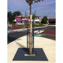 Corset d'arbre noir  | Cérès