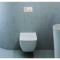 Plaque de déclenchement de chasse d'eau par rotation | Visign for More 202