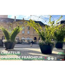 Brochure Urban Canopee 2025