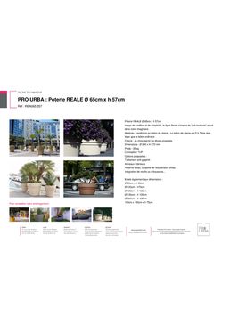 Jardinière en béton de résine pour des agencements urbains | Poterie REALE REA065.057
