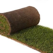 Gazon naturel en rouleau | COVER GARDEN