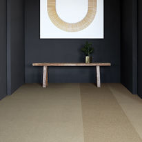 Dalle de moquette à velours tufté coupé frisé | Polichrome Solid