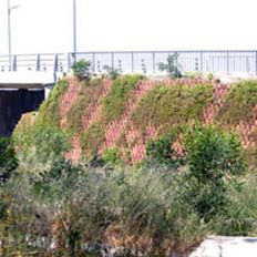 Blocs végétalisables pour murs jusqu'à 10 mètres de hauteur | Betoatlas