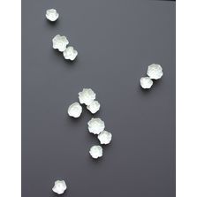 Hoya - Mur et panneau