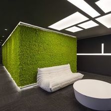 Murs végétaux stabilisés | Mosswall