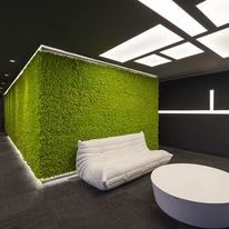 Murs végétaux stabilisés | Mosswall