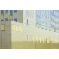 Panneau composite léger en aluminium thermolaqué anodisé |  ALUCOBOND Plus