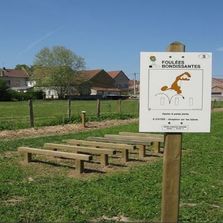 Agrès sportifs pour espaces collectifs naturels