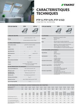Fenêtre de toit rotation en PVC FAKRO | PTP-V