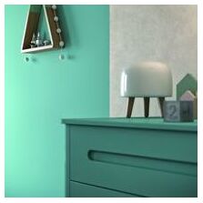 Peinture végétale et biodégradable sans solvant | Collection Végétale