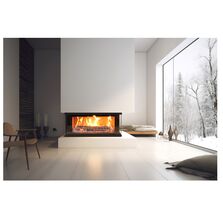 Insert bois double coin horizontal avec porte battante | Venus 850 DC 