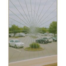 Film de protection solaire et sécurisation | Sentinel Plus 4 Mil Clear OSW