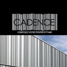 Bardage acier aléatoire en 12 profils (10 profils collection et 2 profils XL) et 4 largeurs différentes | Cadence Triangle