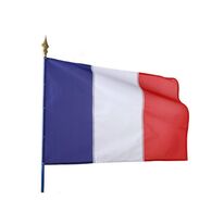 Drapeau français fixé sur hampe pour bâtiments ou événements publics et institutionnels | 1-04-4-001