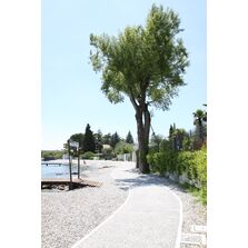 Désactivant de surface en phase aqueuse embellir le béton décoratif | Pieri® VBA Lav