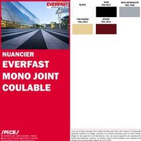 Joint horizontal pour produits bitumineux, béton, bois et métal | EVERFAST MONO JOINT COULABLE