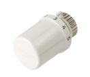 Tête thermostatique | T3019