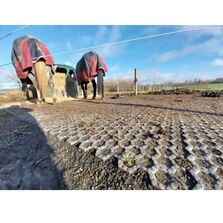 Dalle alvéolée équestre | Alvéole/Stab 