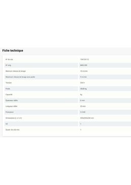 Treuil électrique 500 kg 230 V | MW TOOLS BKEL500 