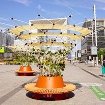 Îlots de fraicheur végétalisés avec banc Urban Canopee | Corolle S Contrario