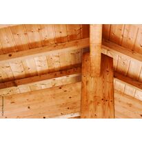 Traitement préventif ou curatif des charpentes et poutres en bois | TX 202