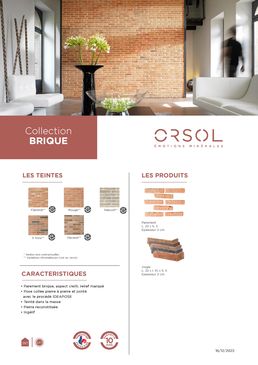 Briques de parement aspect vieilli | BRIQUE