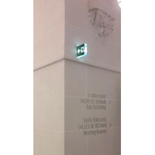 Eclairage de sécurité | Série LOU