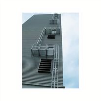 Échelles à crinolines | GENTNER ET FILS