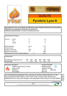 Brique réfractaire à grande polyvalence d’utilisation | PYROBRIC Lynx