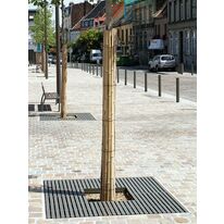 Grilles d'arbres en acier thermolaqué | Synergie