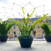 Mobilier urbain végétalisé innovant avec toiles d’ombrage | Corolle L Olympe