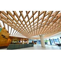 Toile translucide biosourcée pour plafond tendu lumineux | Polaris