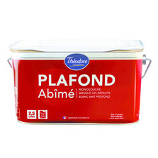 Peinture de finition pour surfaces abîmées | Plafond Abimé