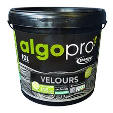 Peinture à base d'algues mate, satinée ou veloutée | Algo