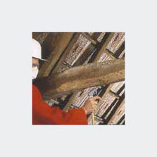 Produit de traitement à diluer | Xylophene Multi-usages concentré