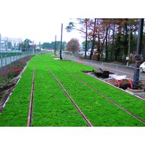 Tapis de sedums précultivé pour toitures végétalisées | i.D Mat Sedum