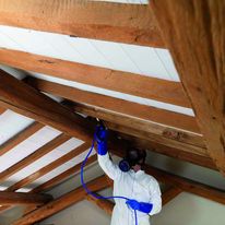 Traitement pour le bois ignifuge et insecticide | Xilix RF