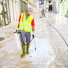 Traitement préventif et curatif pour revêtements poreux extérieurs | Sacerlift