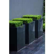 Jardinières en fibres de verre et résine teint dans la masse | Buxus