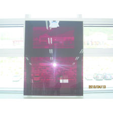 Module photovoltaïque à couche mince semi-transparente pour façades | A-Si see-through