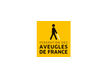 FFA Fédération Handicapé visuel