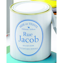 Peinture laque acrylique en 14 teintes | Rue Jacob