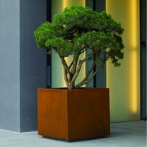 Bacs pour arbres | Bacs d'orangerie