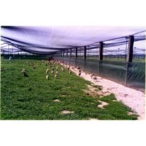 Filet noué câblé pour la couverture de volières - 40 x 40 mm | MEGADIS