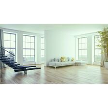 Peinture de finition blanche à haut pouvoir couvrant sur chantier exigeants | Cecil pro PE 55