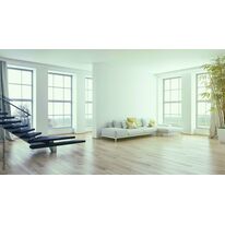 Peinture de finition blanche à haut pouvoir couvrant sur chantier exigeants | Cecil pro PE 55